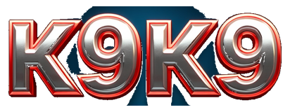 k9k9 logo